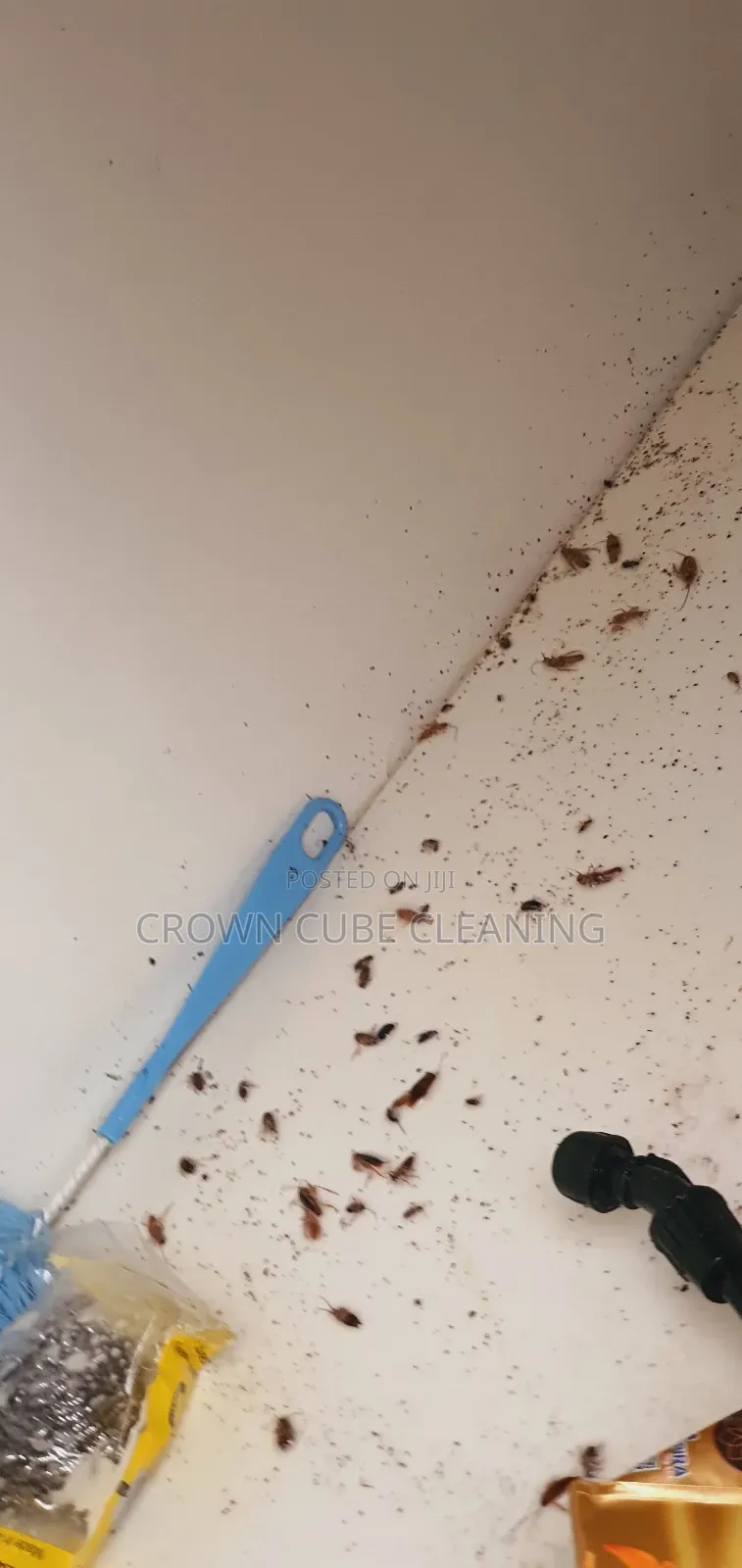 Fumigation Services Fumigation