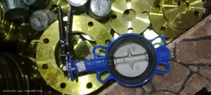 4" Butterfly Valve