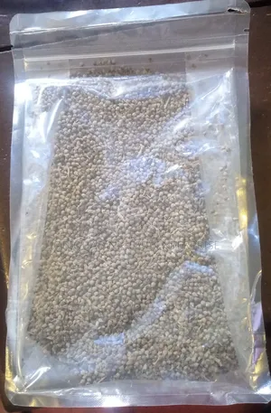 Vitex Organic Seeds Agnus-Castus (Known as Chaste Berry