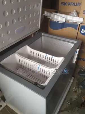 Skyrun Bd-260a Freezer - Keep Your Food Fresh Frozen