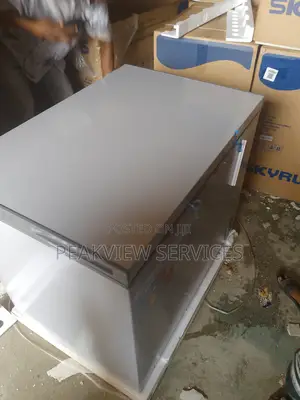 Skyrun Bd-260a - Large Freezer, Perfect for Bulk Storage!
