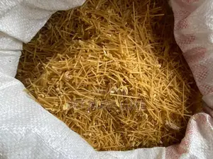 Dog Spaghetti