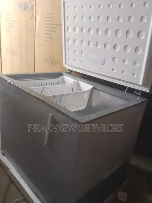 Why Let Your Food Spoil? Buy Skyrun 260l Chest Freezer Today
