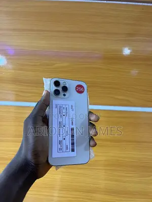 Apple iPhone 12 Pro Max 256 GB Gold