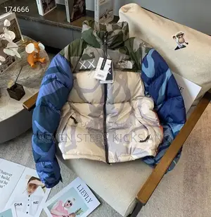 Photo - High Quality The North Face Luxury Puffer Jacket