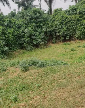 Acres of Land Behind Pti Conference Off Pti Express Eff.