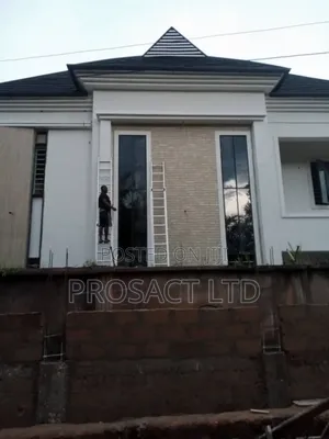 Professional Painter