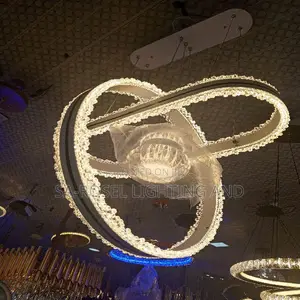 Big Size Single Led Pendant Droplight