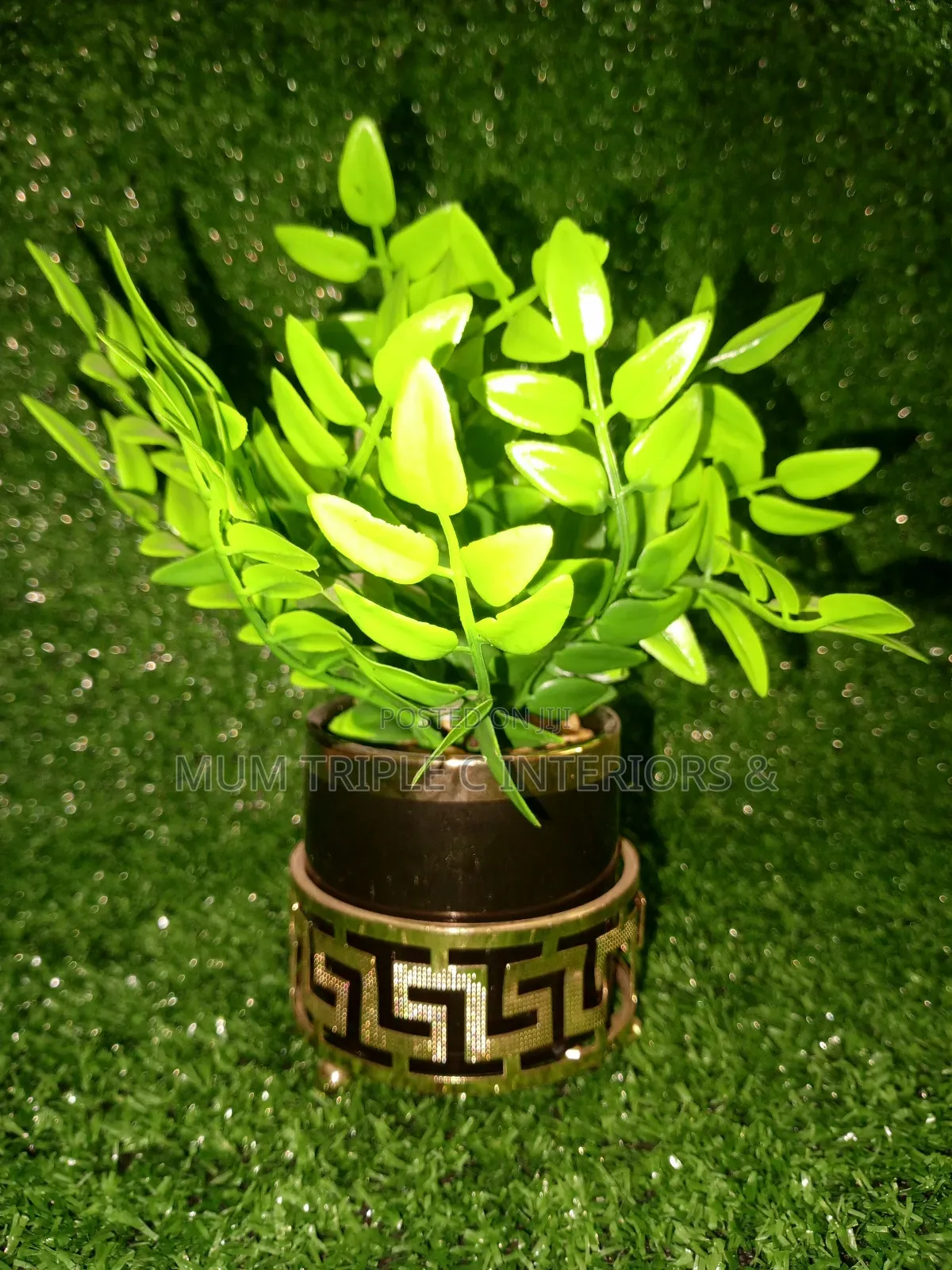 Cup Flowers