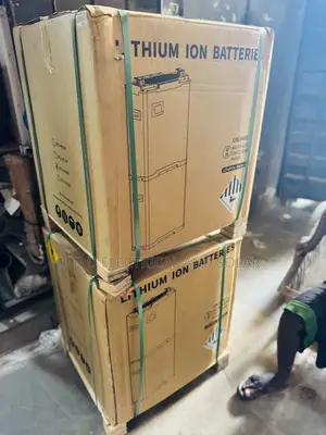 Blue Carbon 15kwh Lithium Ion Battery With 5years Warranty