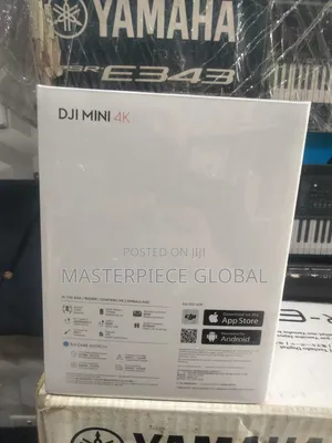 Dji Mini Drone