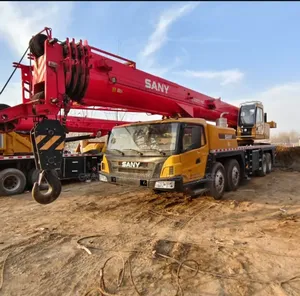 25 Tons Motor Crane Sany