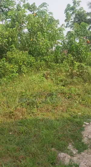 Private or Commercial Plots of Land Available for Sale