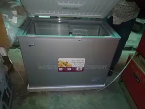 Lg Deep Freezer Fast Freezing