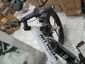 Electric Bike