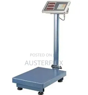 300kg Platform Digital Measuring Scale