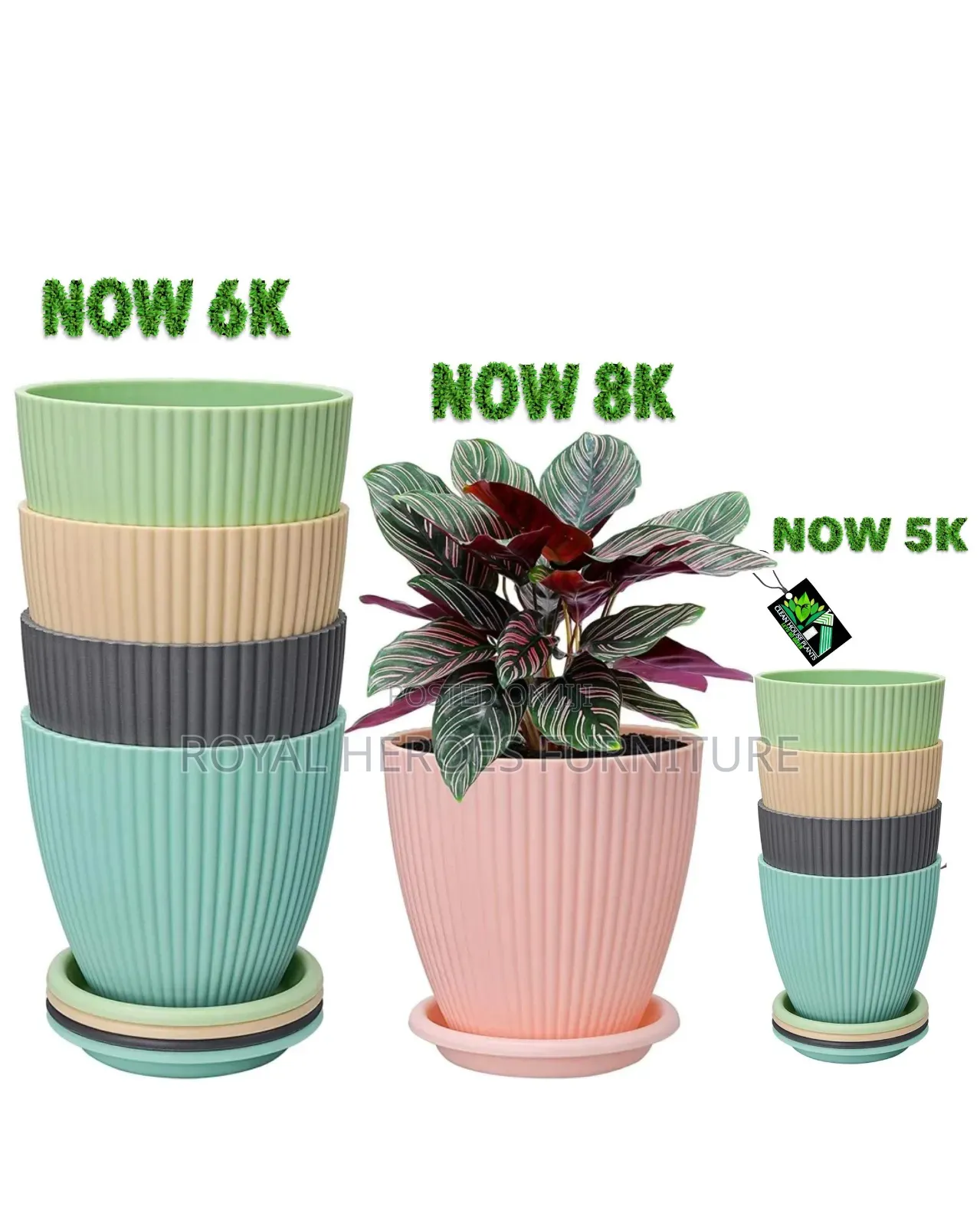 Planter Pots