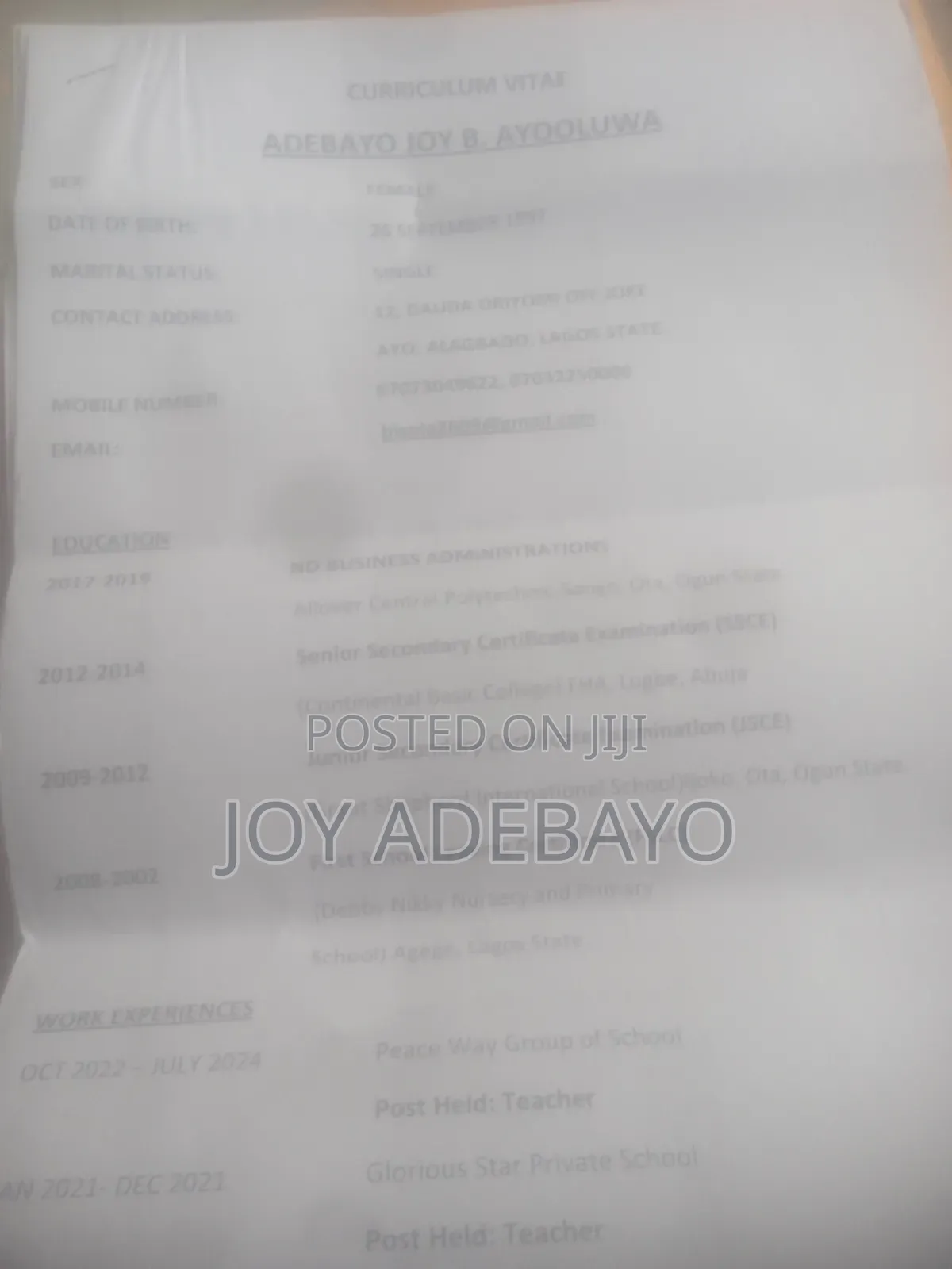 Curriculum Vitae
