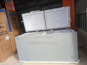 Quality Double Door Freezer Hisense