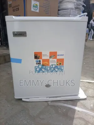 Skyrun Bed Side Refrigerator
