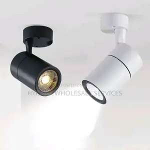 Single Adjustable Track Lights