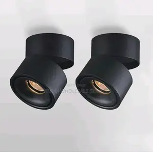 Single Adjustable Track Lights