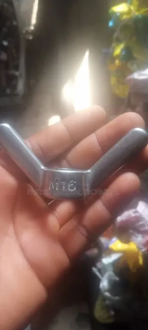 16mm Stainless Steel Wing Nut (Butterfly Nut)