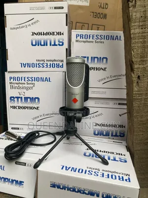 V2 Bird Singer Condenser Microphone
