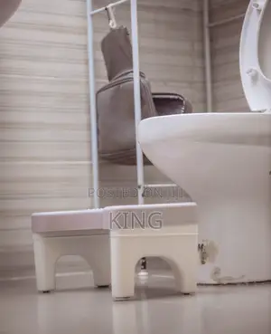 Toilet Stool