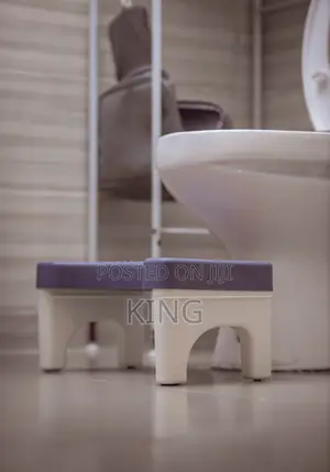 Toilet Stool