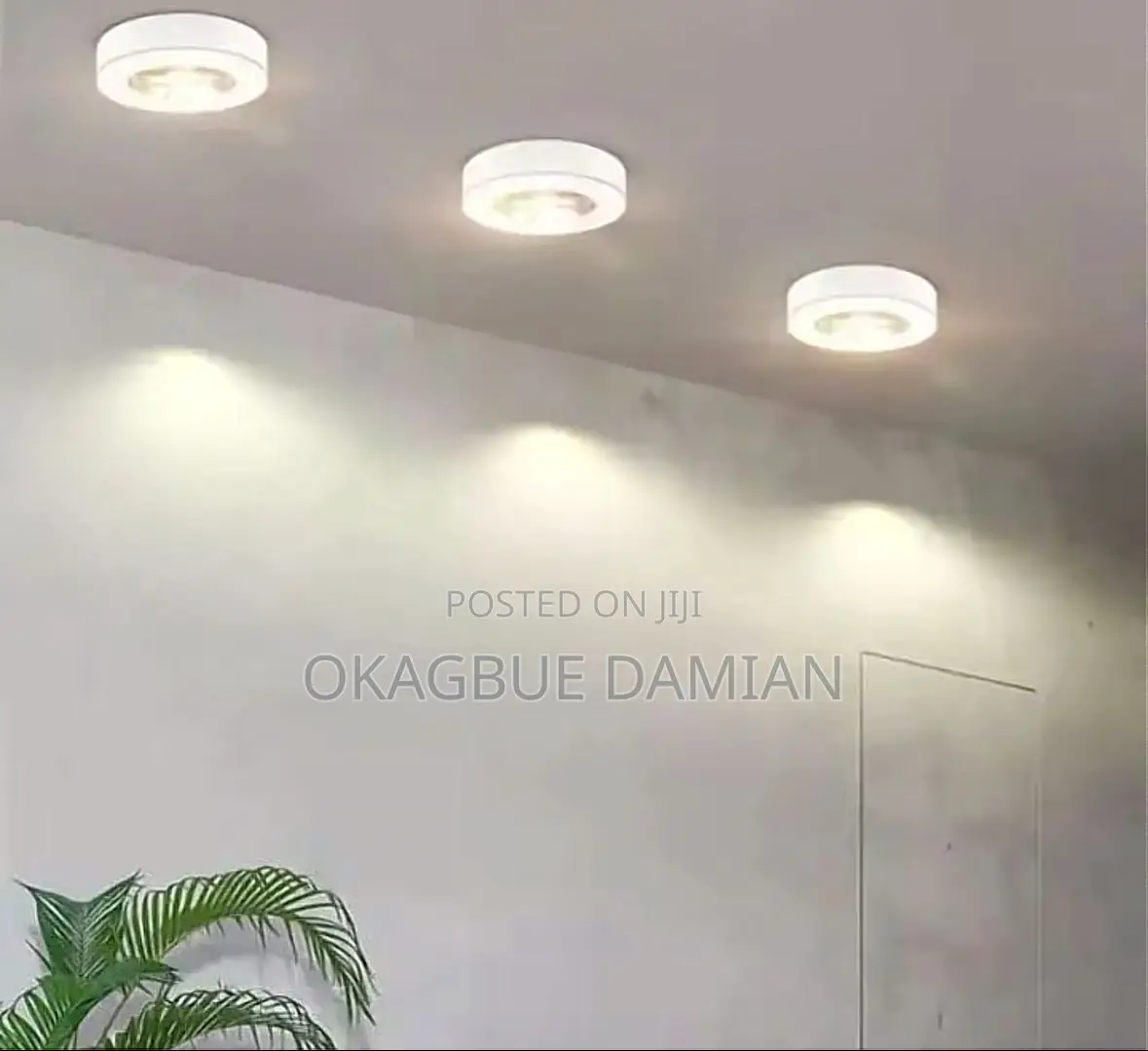 Parafit Light
