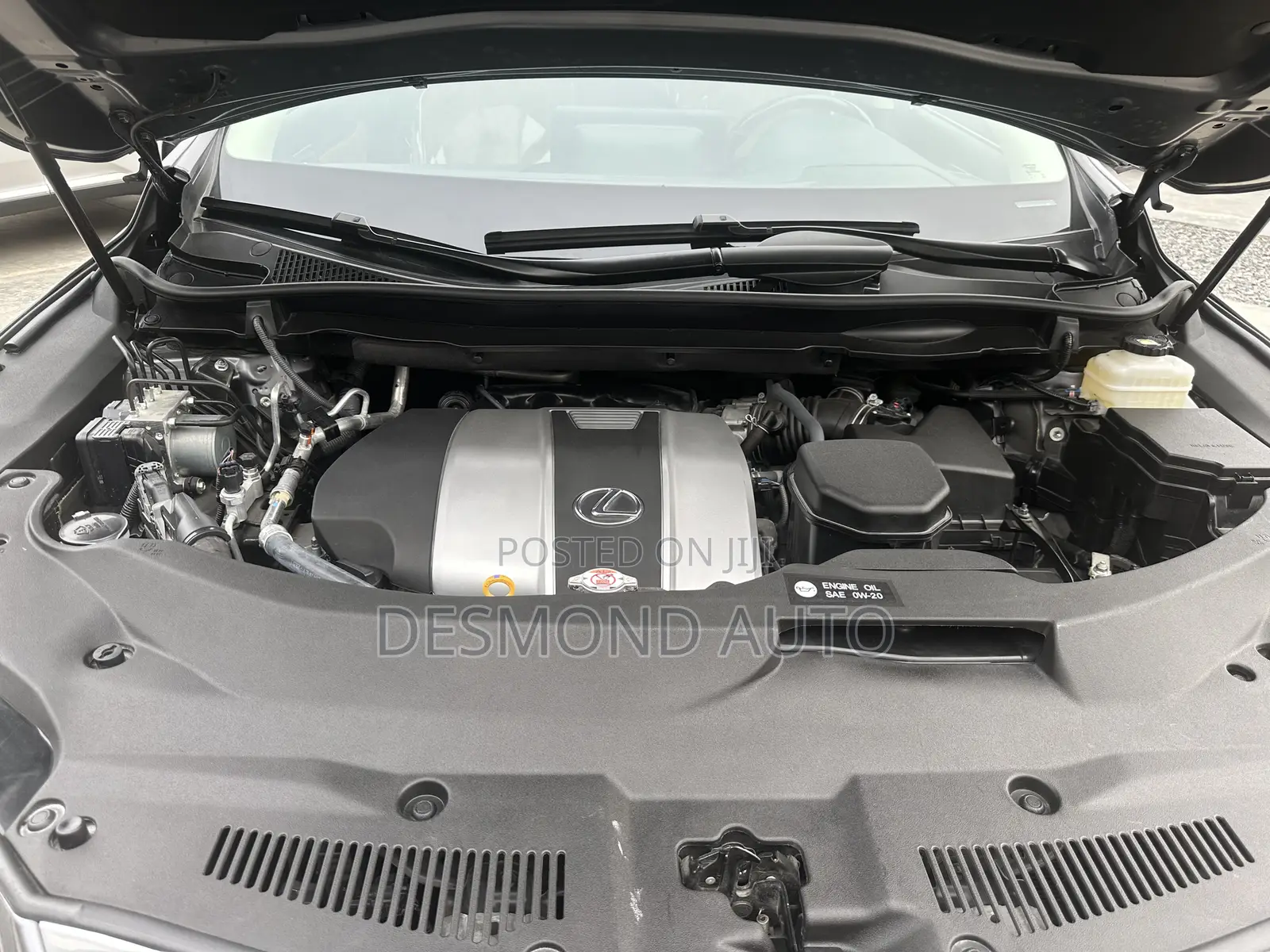 Lexus RX 2022 Gray