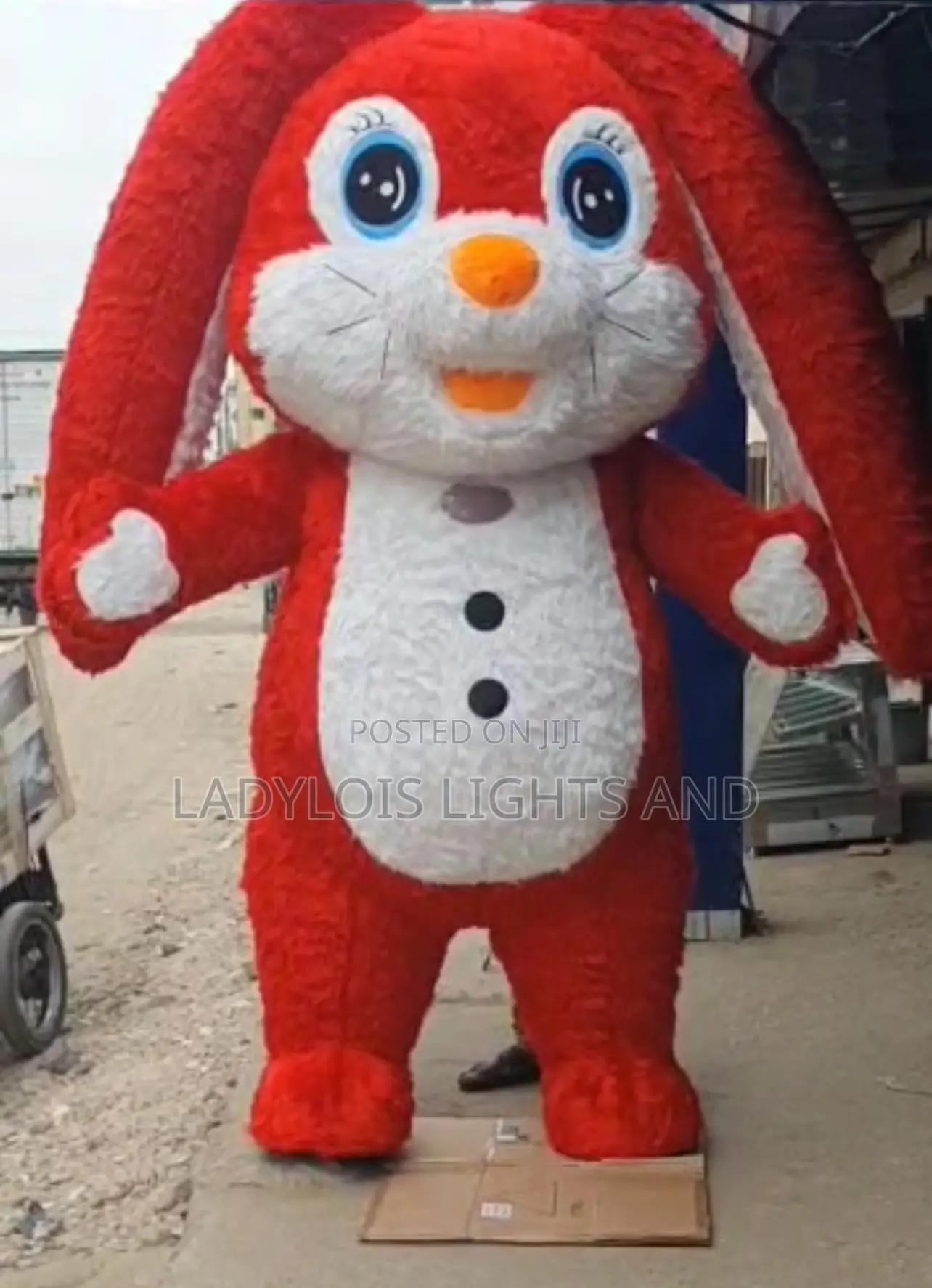 Bunny Rabbit Mascot Costume