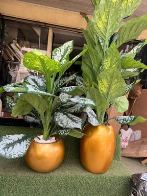 Artificial Plants With Fibre Vase