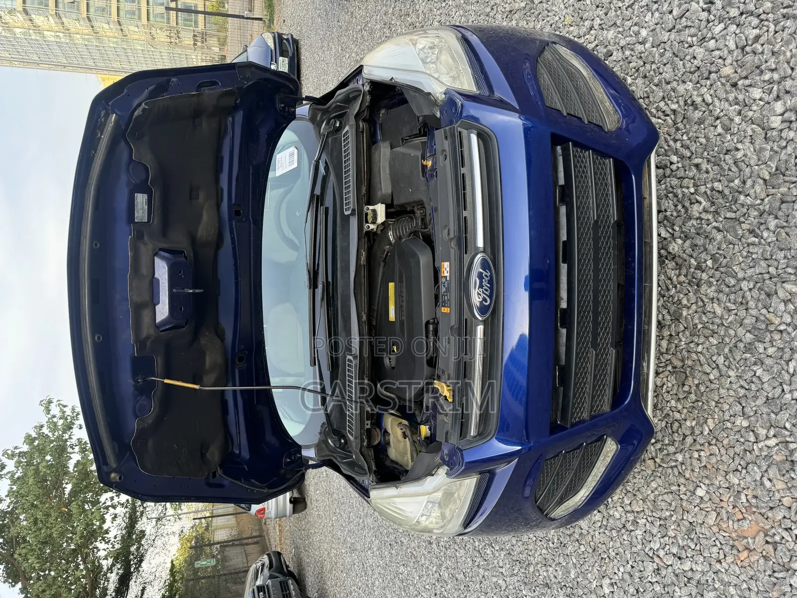 Ford Escape 2013 Blue
