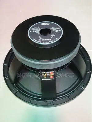 Zed 12 Inches Line Array Sub-woofer