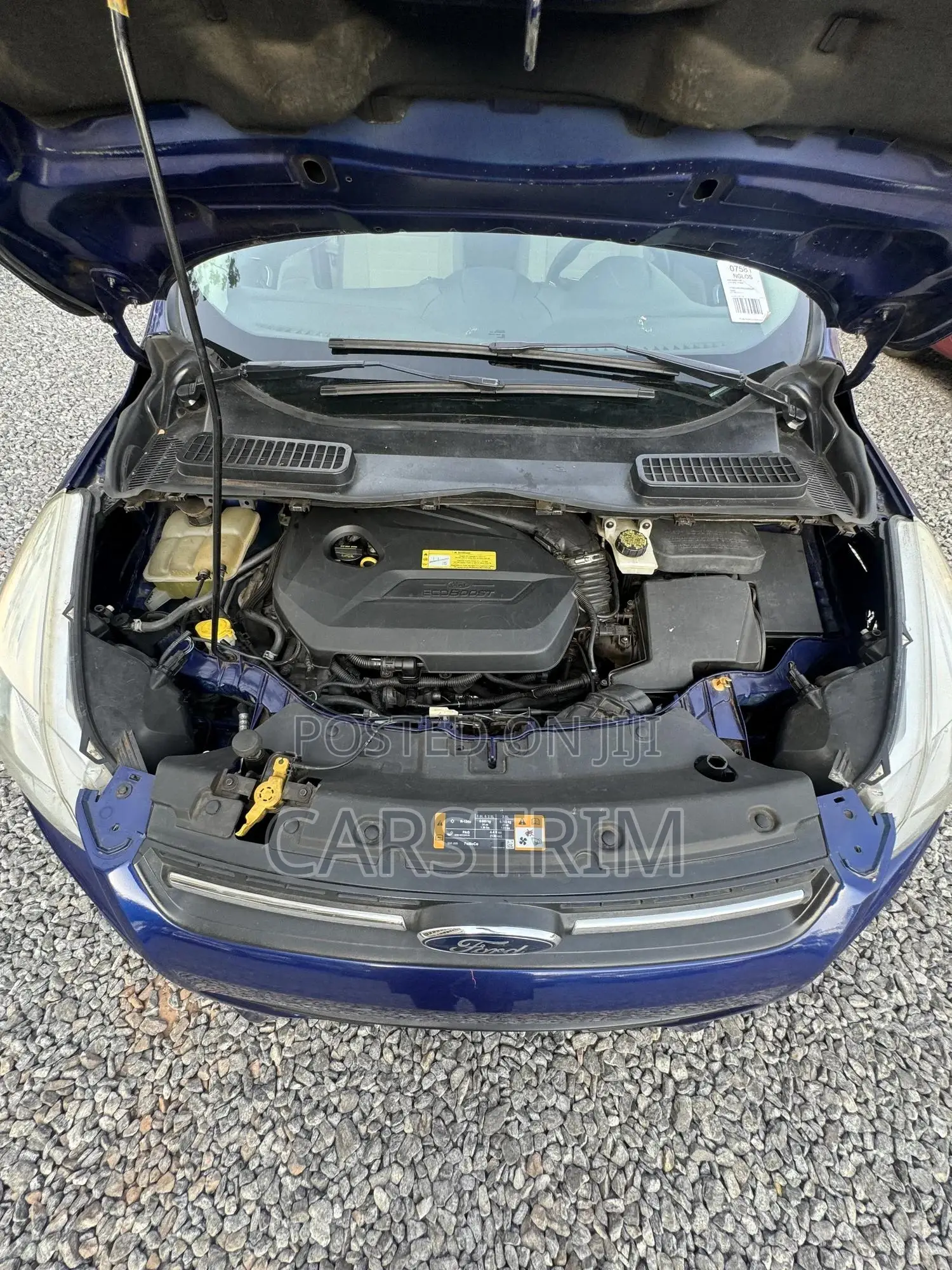 Ford Escape 2013 Blue