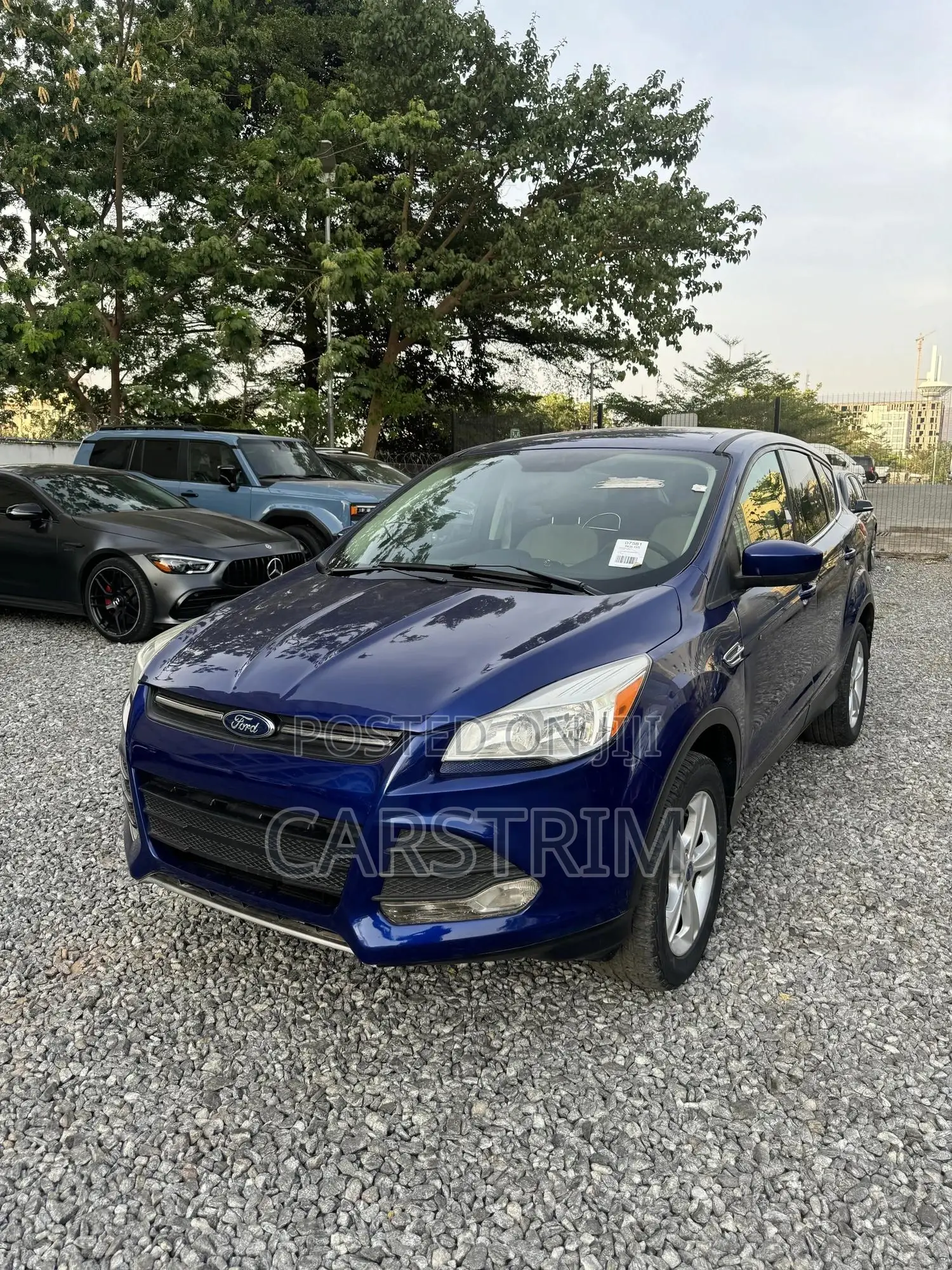 Ford Escape 2013 Blue