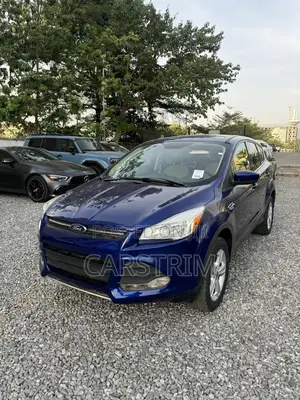 Ford Escape 2013 Blue
