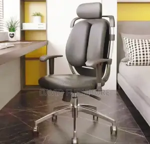 Orthopedic Executive Office Chair