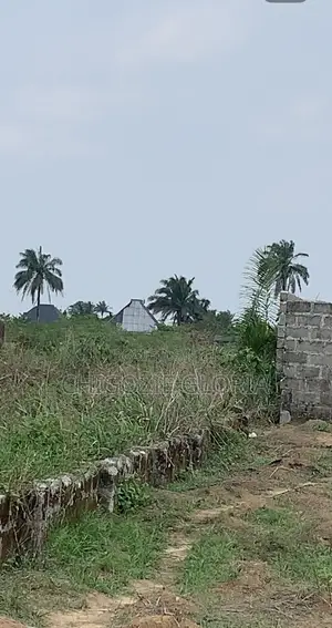 Location:Eneka Ring Road Portharcourt