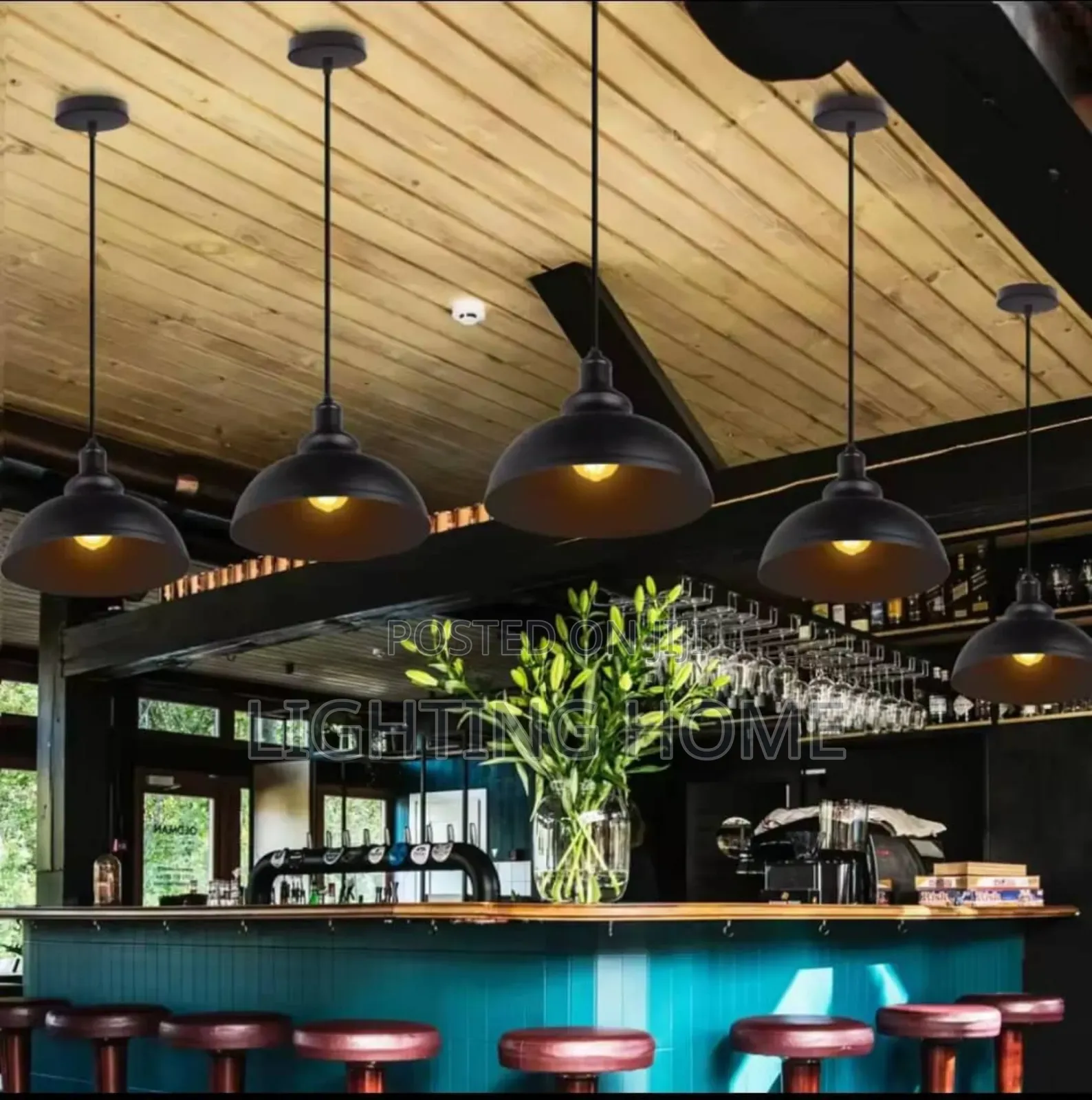 Single  Pendant Light