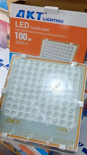 Akt 100watts Flood Light