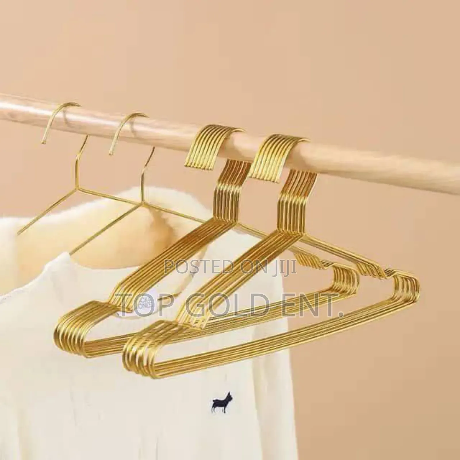 Gold/Silver Iron Clothes Hanger