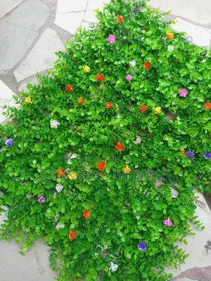 Flowers Mat