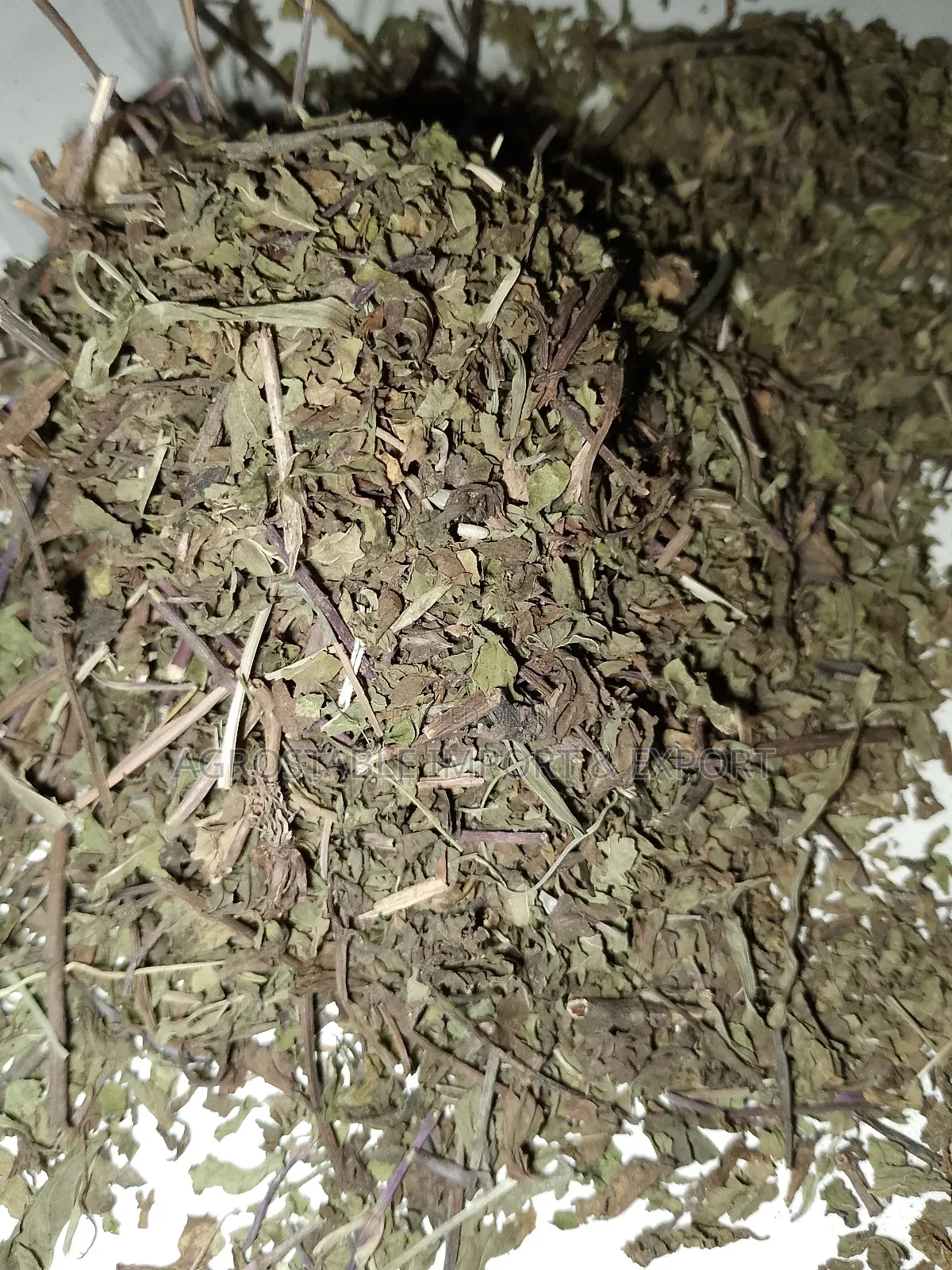 Spear Mint Leaves