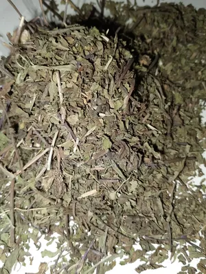 Spear Mint Leaves
