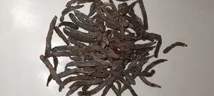 Negro Pepper