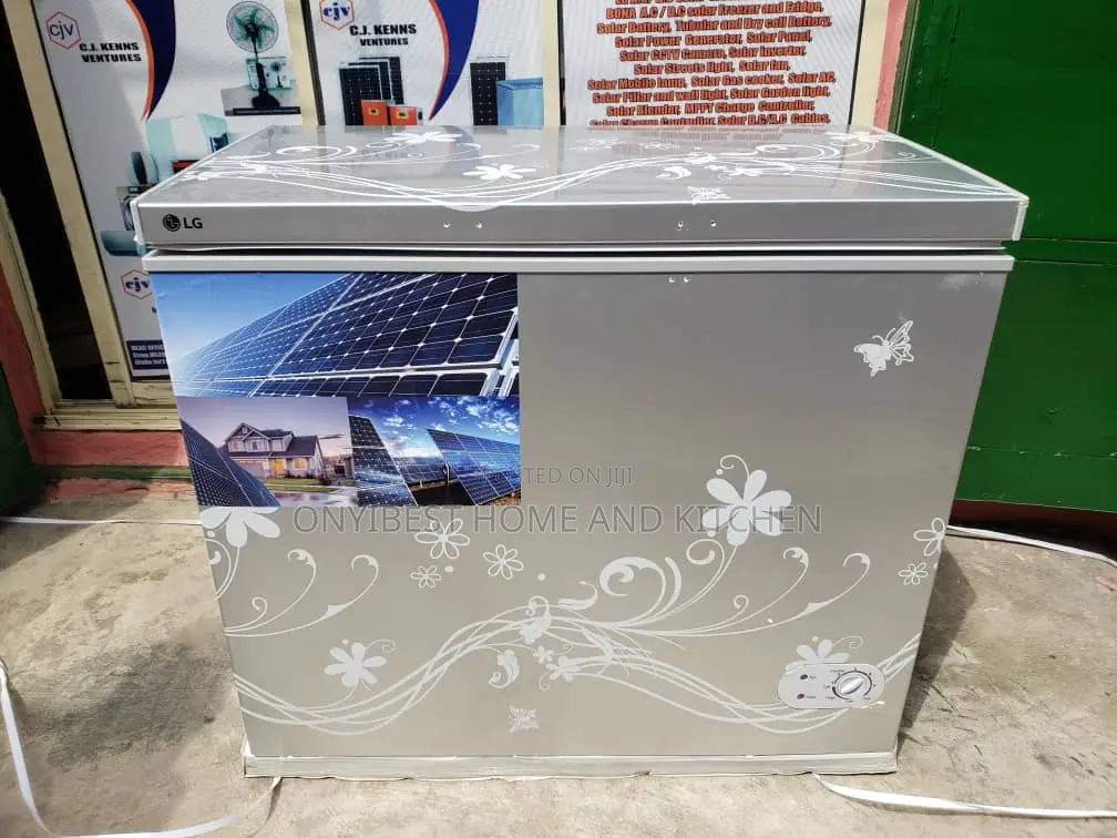 Lg Solar and Electric Deep Freezer
