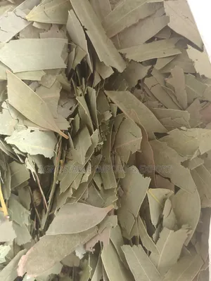 Eucalyptus Leaves and Powder